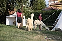 VBS_8124 - Inaugurazione 72.ma Fiera del Peperone di Carmagnola